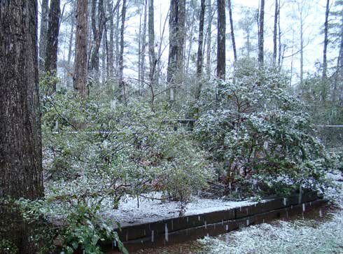 Snow in Lawrenceville, March 1 2009